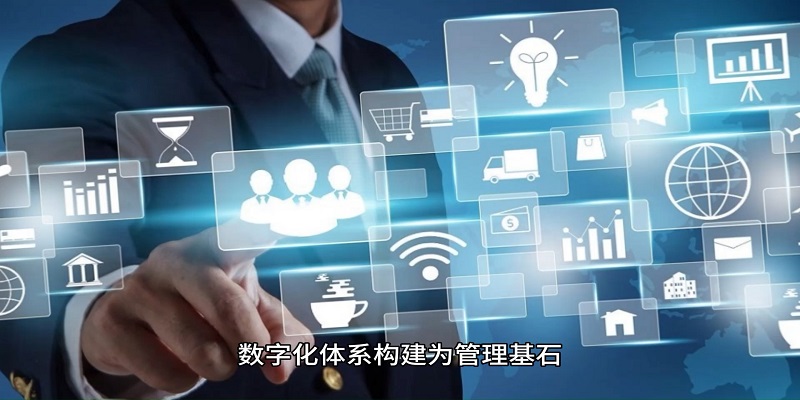 数据和数字化服务解决方案